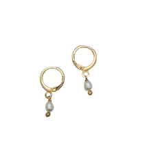 Load image into Gallery viewer, SE812FP Freshwater pearl 18K Gold Huggie Earring