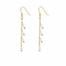 Load image into Gallery viewer, SE1063 18K Gold Plated Earrings with mini Fresh water Pearls