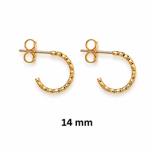 Load image into Gallery viewer, SE1038  Sparkle 18K Gold Plated Hoops