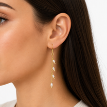 Load image into Gallery viewer, SE1063 18K Gold Plated Earrings with mini Fresh water Pearls