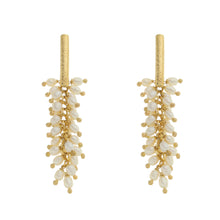 Load image into Gallery viewer, SE085FP 18k Gold Plated Earrings with Fresh Water Pearls