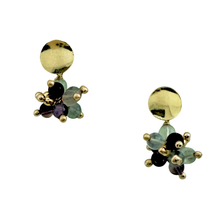 Load image into Gallery viewer, SE1023FL 18K Gold Plated Earrings with Fluorite Stones