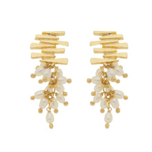 Load image into Gallery viewer, SE547FP Gold Plated Earrings with Fresh Water Pearls