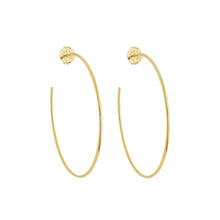 Load image into Gallery viewer, SE706LG 18k Gold Plated Hoops
