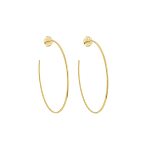 SE706MD 18k Gold Plated Hoops
