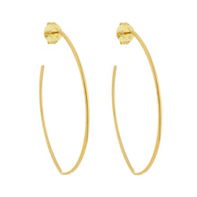 Load image into Gallery viewer, SE710MD Gold Plated Earrings