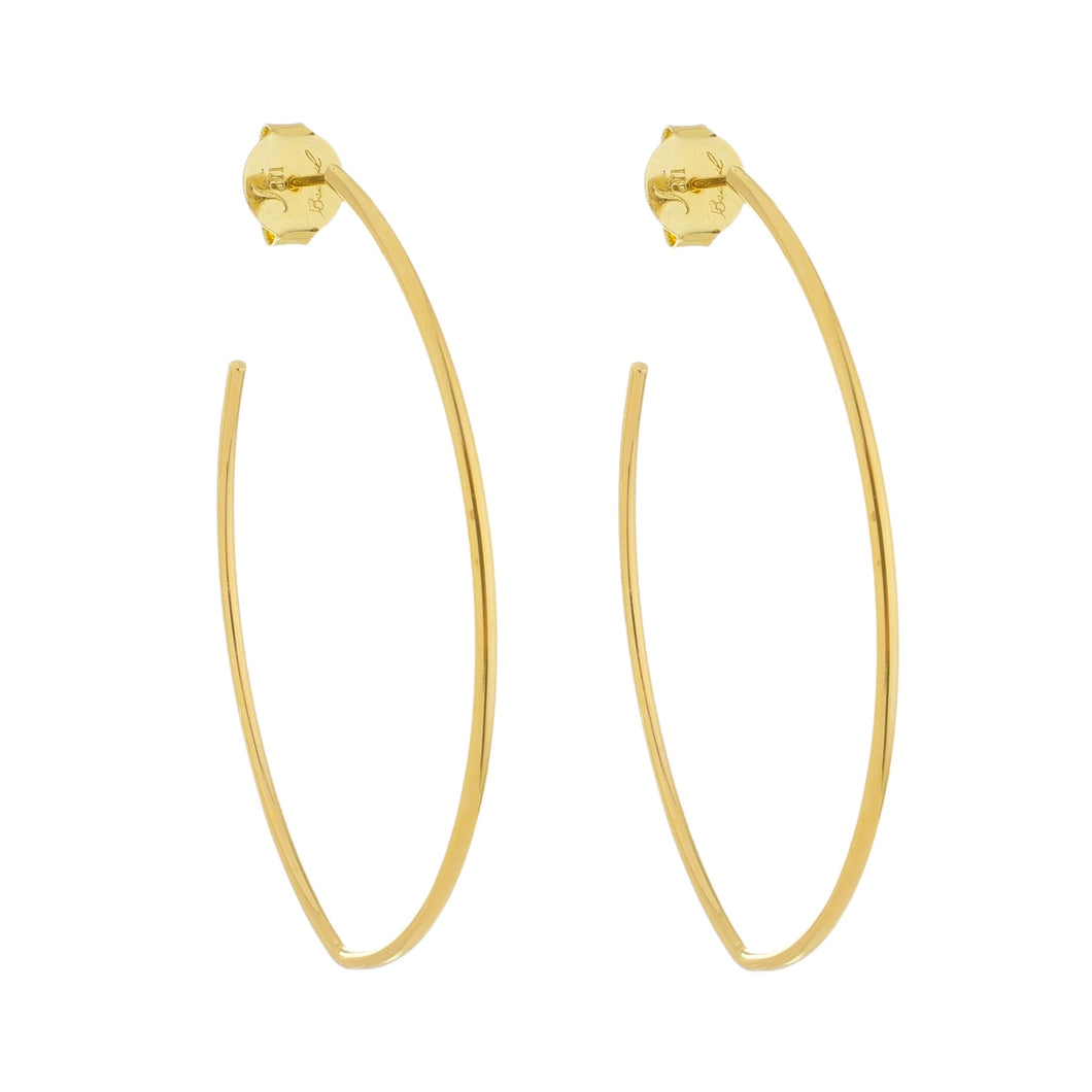 SE710MD Gold Plated Earrings