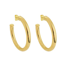 Load image into Gallery viewer, SE759AMD 18k Gold Plated Hoops