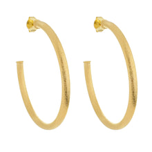 Load image into Gallery viewer, SE760BLG 18k Gold Plated Hoops