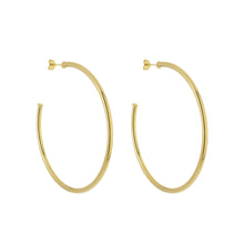 Load image into Gallery viewer, SE761AMD 18k Gold Plated Hoops