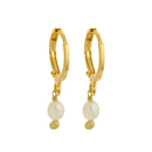 Load image into Gallery viewer, SE812FP Freshwater pearl 18K Gold Huggie Earring