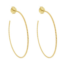 Load image into Gallery viewer, SE860LG 18K Gold Plated Hoops