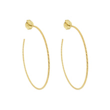 Load image into Gallery viewer, SE860SM 18K Gold Plated Hoops