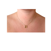 Load image into Gallery viewer, SN472 16&#39;&#39; Chain and 18K Gold Plated Initial Pendant