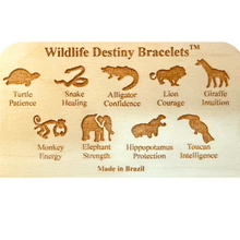 Load image into Gallery viewer, D13 Single Display for wildlife Bracelets