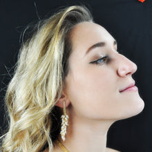 Load image into Gallery viewer, SE085FP 18k Gold Plated Earrings with Fresh Water Pearls