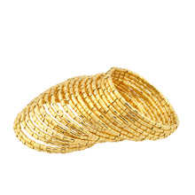 Load image into Gallery viewer, SB239 Spiral Bracelet