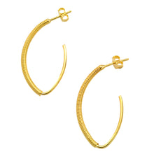 Load image into Gallery viewer, SE734SM 18k Gold Plated earrings