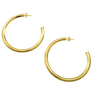 SE760AXS 18k Gold Plated Hoops