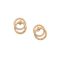 Load image into Gallery viewer, SE836 18K Gold Plated Earrings