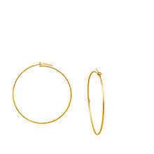 Load image into Gallery viewer, SE858LG 18K Gold Plated Hoops