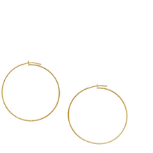 Load image into Gallery viewer, SE858MD 18K gold Plated Hoops