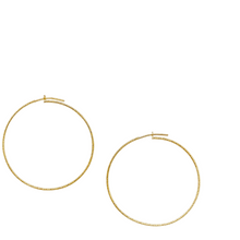 Load image into Gallery viewer, SE858SM 18K Gold Plated Hoops