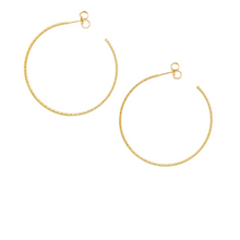 Load image into Gallery viewer, SE860LG 18K Gold Plated Hoops