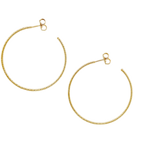Load image into Gallery viewer, SE860SM 18K Gold Plated Hoops