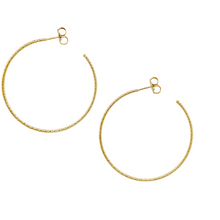 Load image into Gallery viewer, SE860LG 18K Gold Plated Hoops