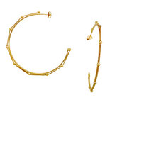 Load image into Gallery viewer, SE868 18K Gold Plated Hoop with a Chain across the Circle