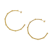Load image into Gallery viewer, SE868 18K Gold Plated Hoop with a Chain across the Circle