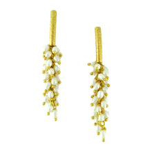 Load image into Gallery viewer, SE085FP 18k Gold Plated Earrings with Fresh Water Pearls